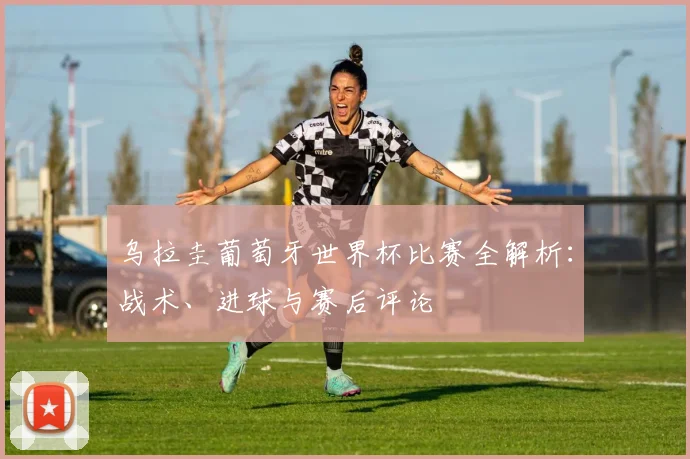乌拉圭葡萄牙世界杯比赛全解析：战术、进球与赛后评论
