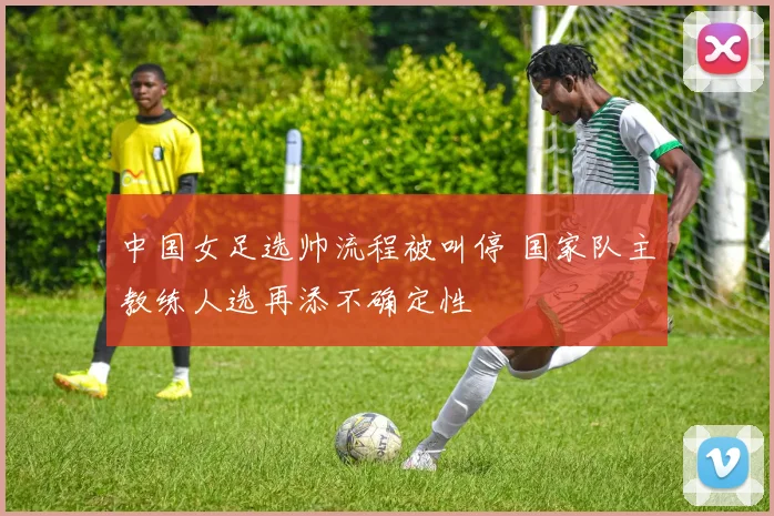 中国女足选帅流程被叫停 国家队主教练人选再添不确定性