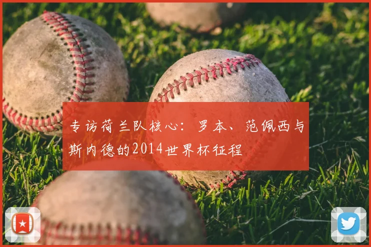 专访荷兰队核心:罗本、范佩西与斯内德的2014世界杯征程