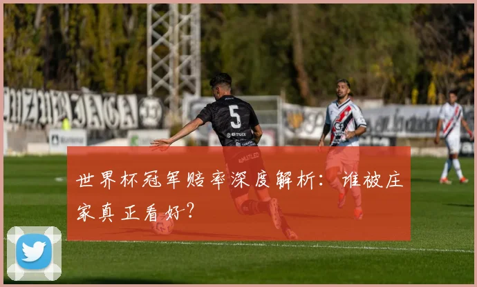 世界杯冠军赔率深度解析:谁被庄家真正看好?