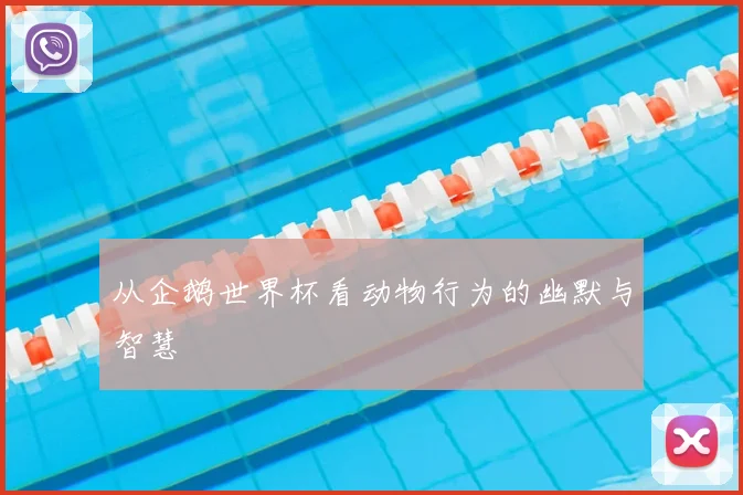 从企鹅世界杯看动物行为的幽默与智慧