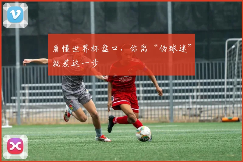 看懂世界杯盘口,你离“伪球迷”就差这一步