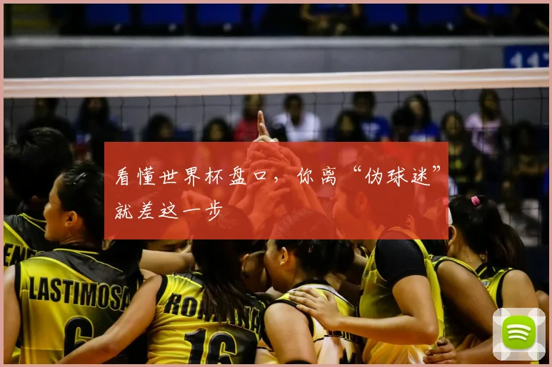 看懂世界杯盘口,你离“伪球迷”就差这一步