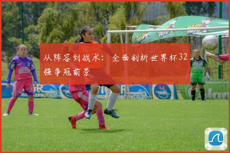 从阵容到战术：全面剖析世界杯32强争冠前景