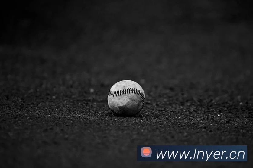 九游官方体育入口平台生态图