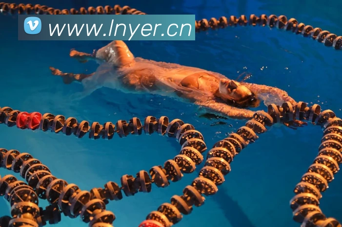 九游官方体育入口全站App